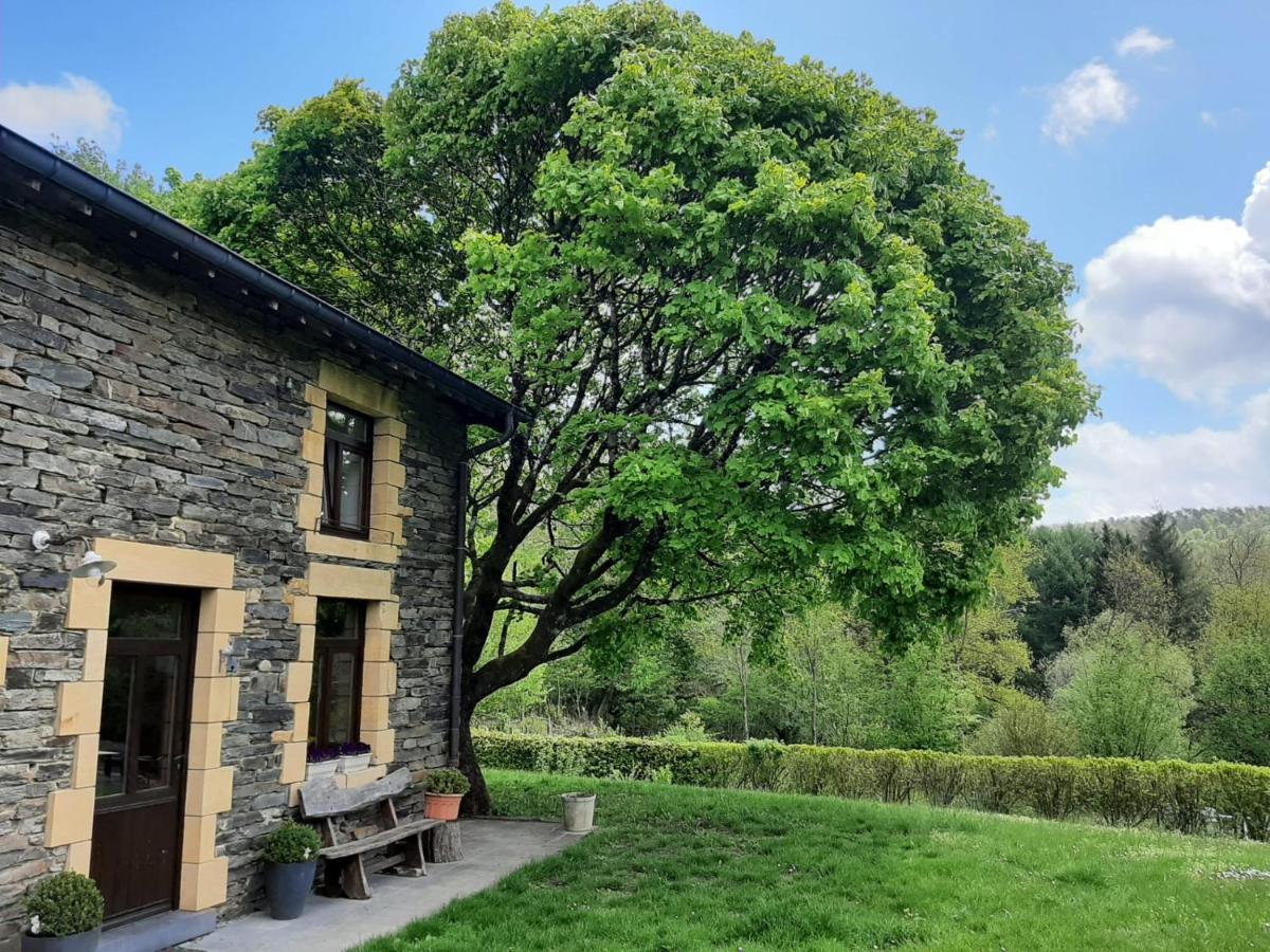 La Maison Des Marguerites Vresse-sur-Semois ภายนอก รูปภาพ