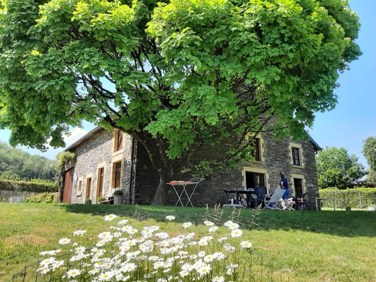 La Maison Des Marguerites Vresse-sur-Semois ภายนอก รูปภาพ