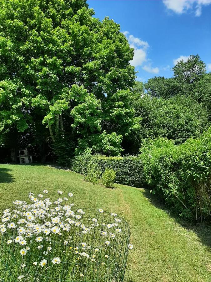 La Maison Des Marguerites Vresse-sur-Semois ภายนอก รูปภาพ