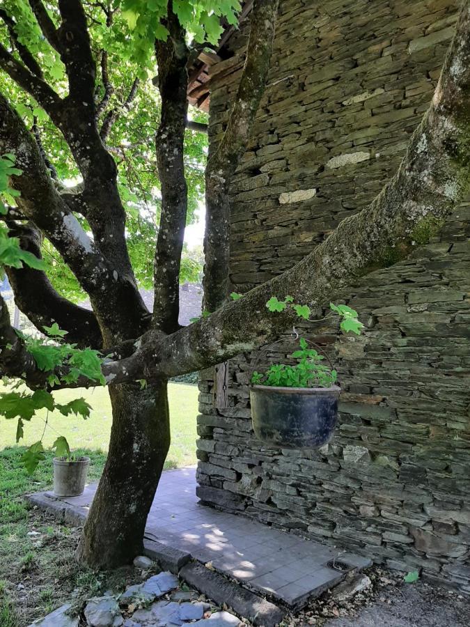 La Maison Des Marguerites Vresse-sur-Semois ภายนอก รูปภาพ