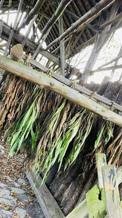 La Maison Des Marguerites Vresse-sur-Semois ภายนอก รูปภาพ