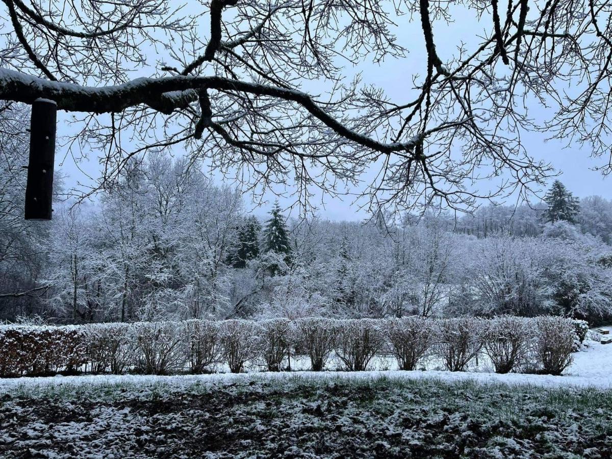 La Maison Des Marguerites Vresse-sur-Semois ภายนอก รูปภาพ