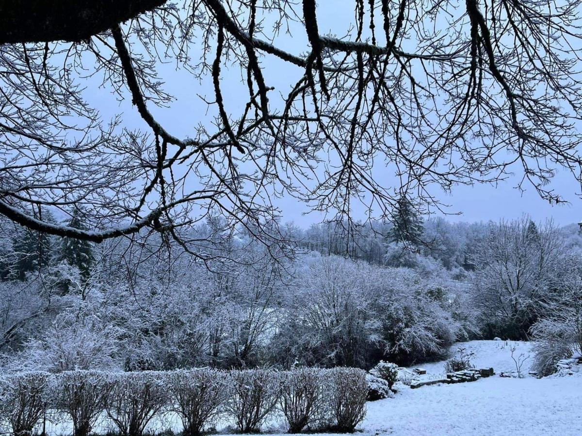 La Maison Des Marguerites Vresse-sur-Semois ภายนอก รูปภาพ