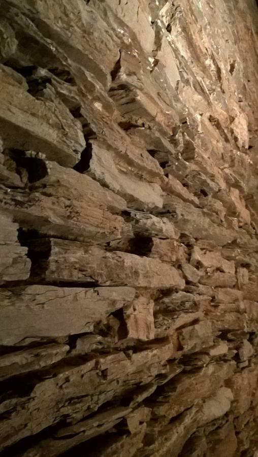 La Maison Des Marguerites Vresse-sur-Semois ภายนอก รูปภาพ